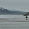 Surfista e seu cachorro enfrentam as águas geladas de praia em Tofino, na costa oeste de Vancouver Island, litoral da British Columbia, oeste do Canadá